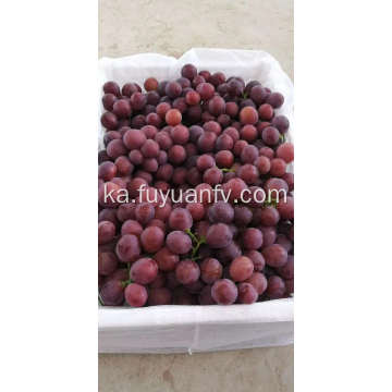 წითელი Seedless ყურძენი კვების